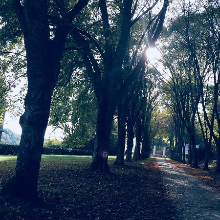 Chateau D'Hodebert Saint-Paterne-Racan Bagian luar foto