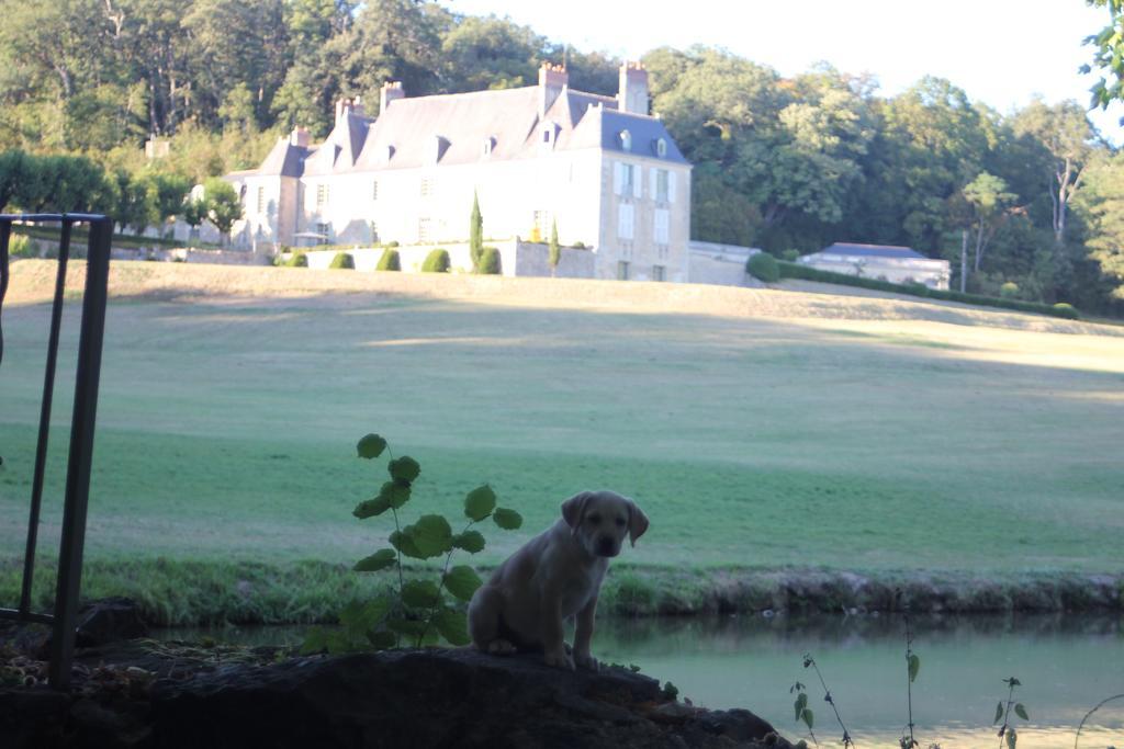 Chateau D'Hodebert Saint-Paterne-Racan Bagian luar foto